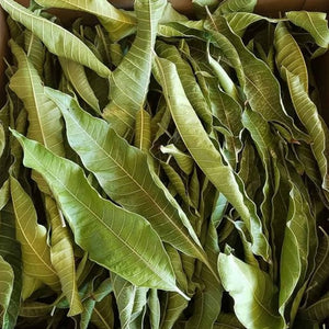 Source of Life Mango Leaves (Mangifera Indica) 30g