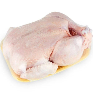 Broiler Chicken 1 Whole