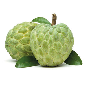 Custard Apple 2 pack