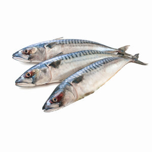 Frozen Mackerel 3 pieces