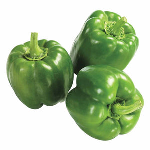 Green Bell Pepper 500g