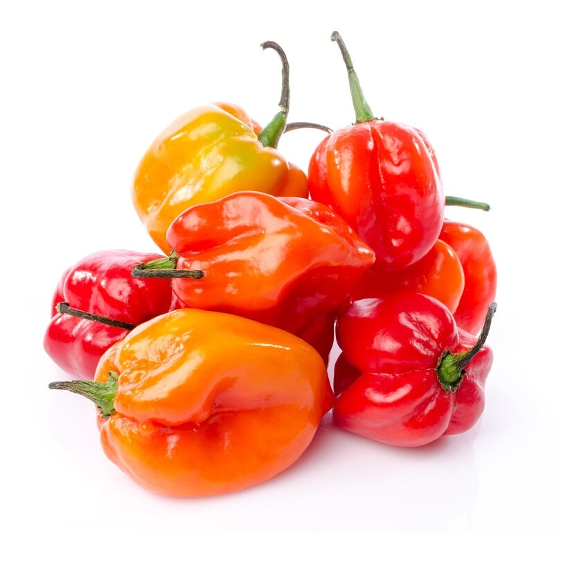 Hot Peppers 100g