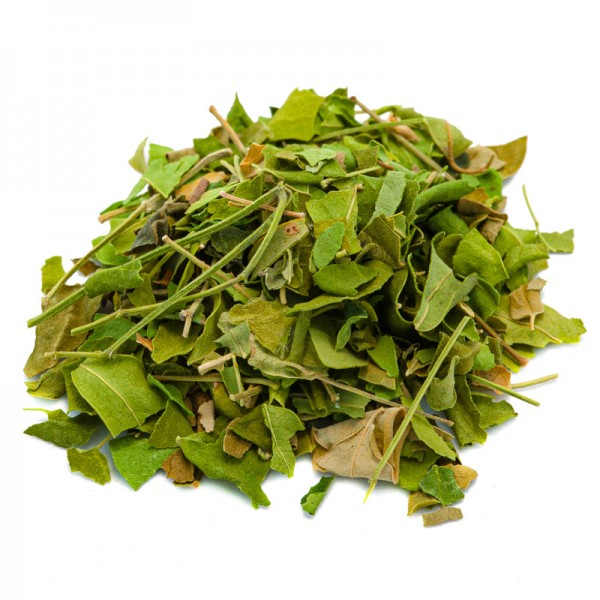 Source of Life Moringa Herb (Oleifera) 25g