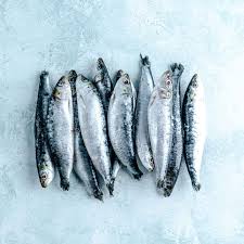 Sardine 500g