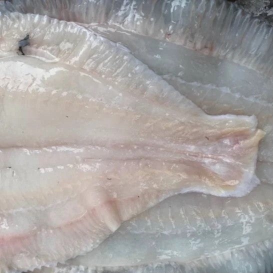 Whole plaice - Fillet