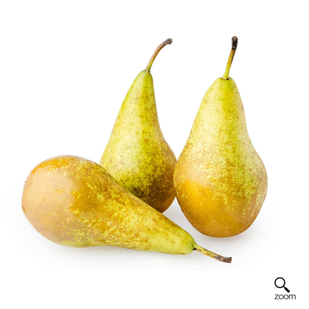 Conference Pears (3 Pack)