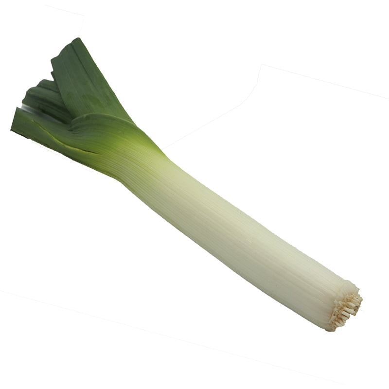 Leeks (Single)