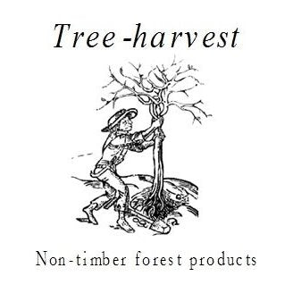 Tree Harvest Organic Sea Buckthorn Oil 50ml
